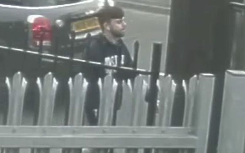 napadalec.png