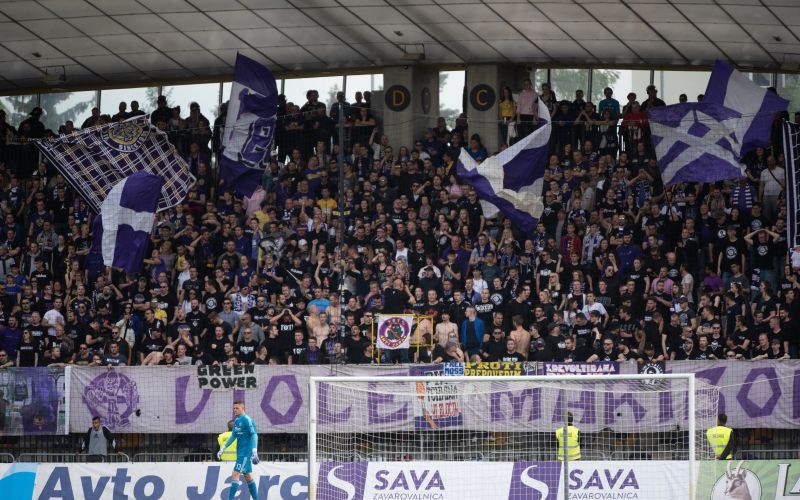 viole.JPG