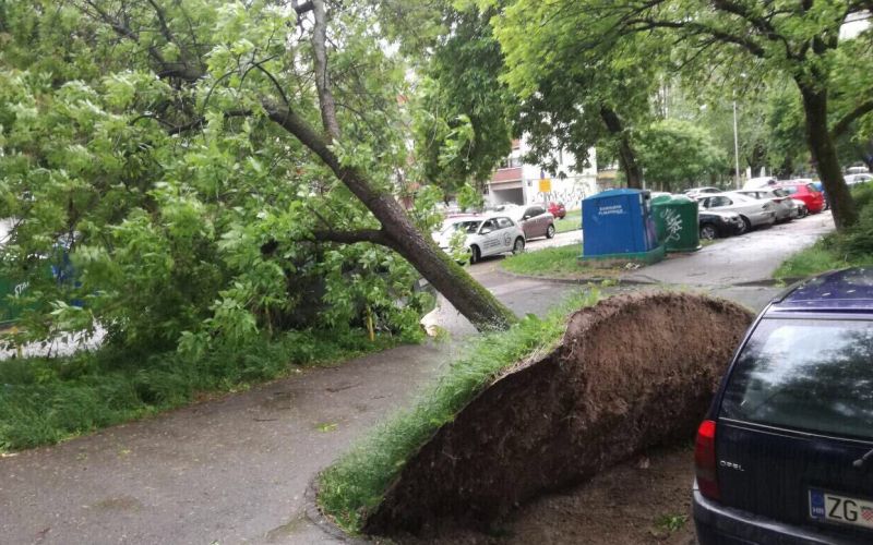 zagreb veter drevo