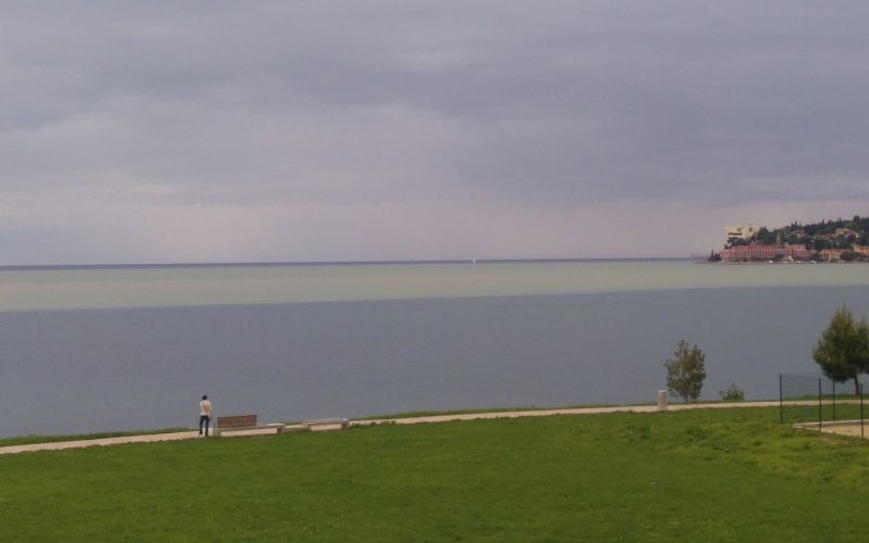 piranski zaliv, dragonja, rjava barva.jpg