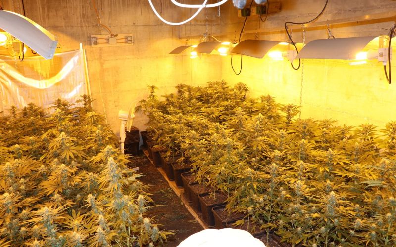 zaseg, marihuana, šiška, 27.5.2019 1.jpg