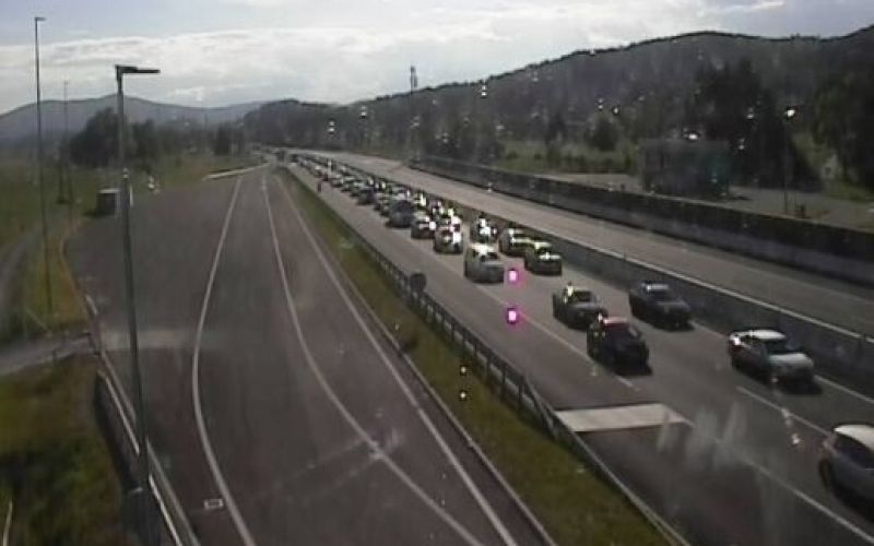 log pri brezovici, zastoj, 2.6.2019.jpg