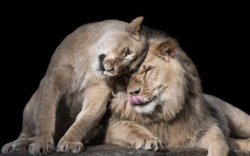 shutterstock_589047086.jpg