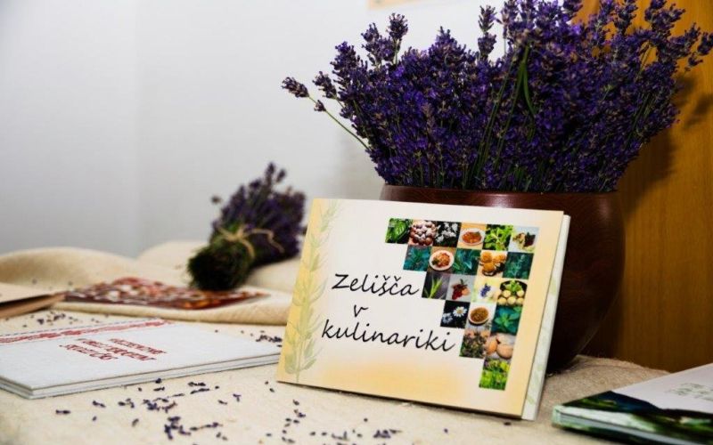 _zelisca__1_.jpg