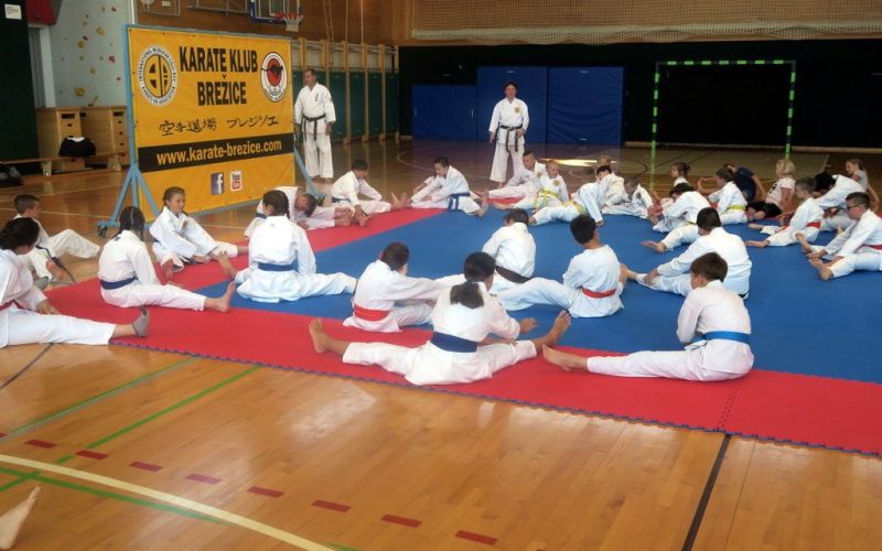 _zzzzzzzzzkarate__1_.jpg