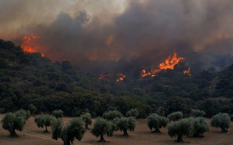 požar toledo španija.jpg