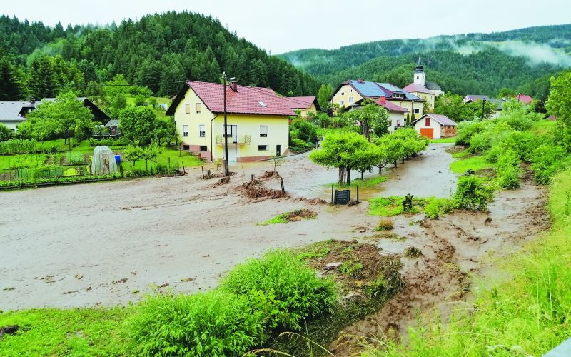 neurje Dolič.jpg