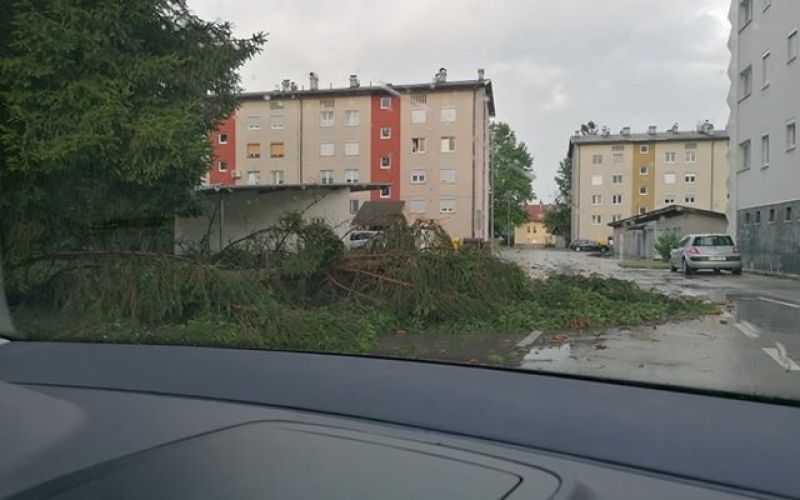 kočevje neurje
