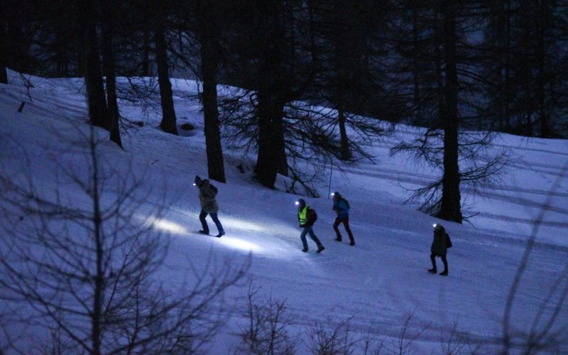 alpe
