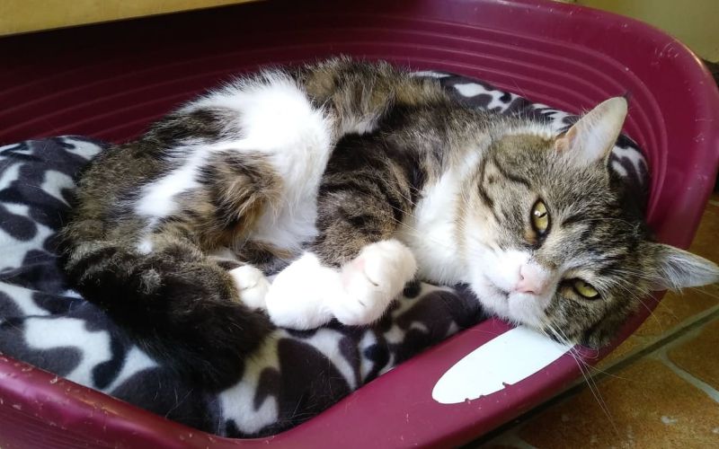 maru-objava2.jpg
