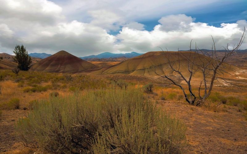 oregon high desert.jpg