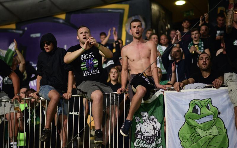 green dragons mm.JPG
