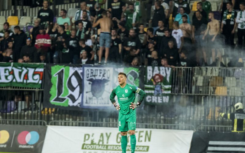 vidmar green dragons.jpg