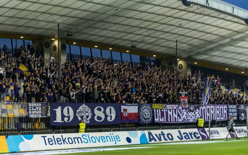 viole maribor jk.jpg