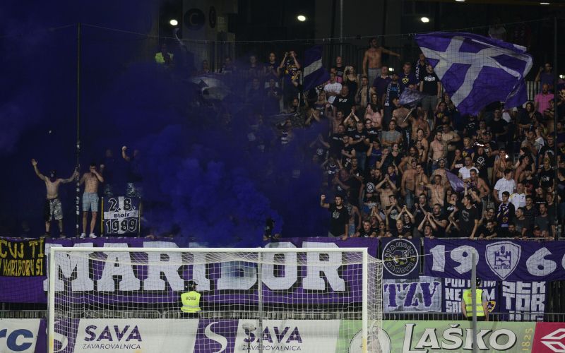 viole maribor mm.JPG