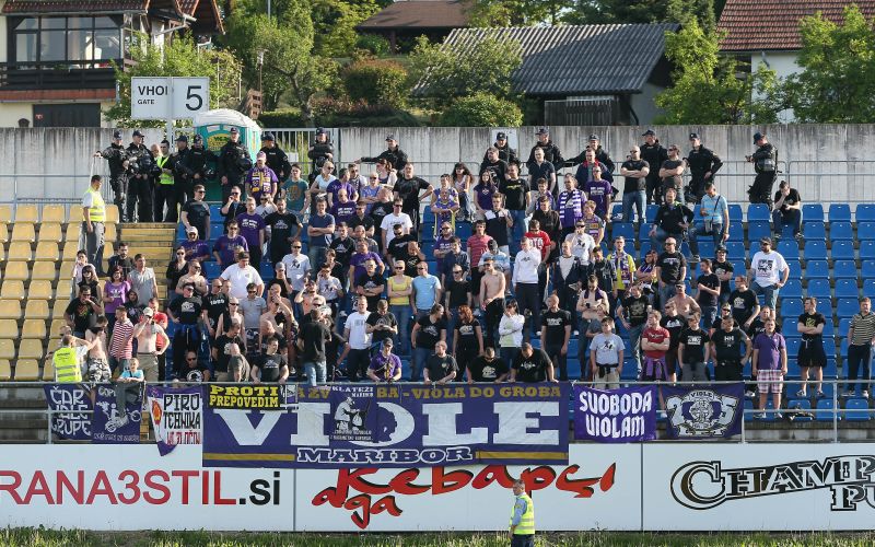 viole.jpg