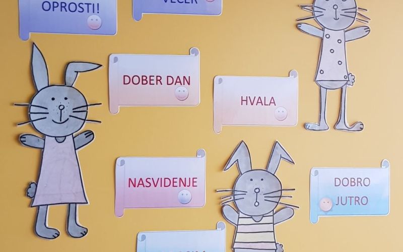 _mirna__1_.jpg