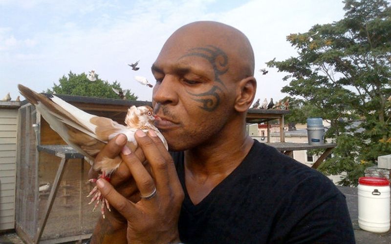 Mike Tyson profimedia-0137660055.jpg