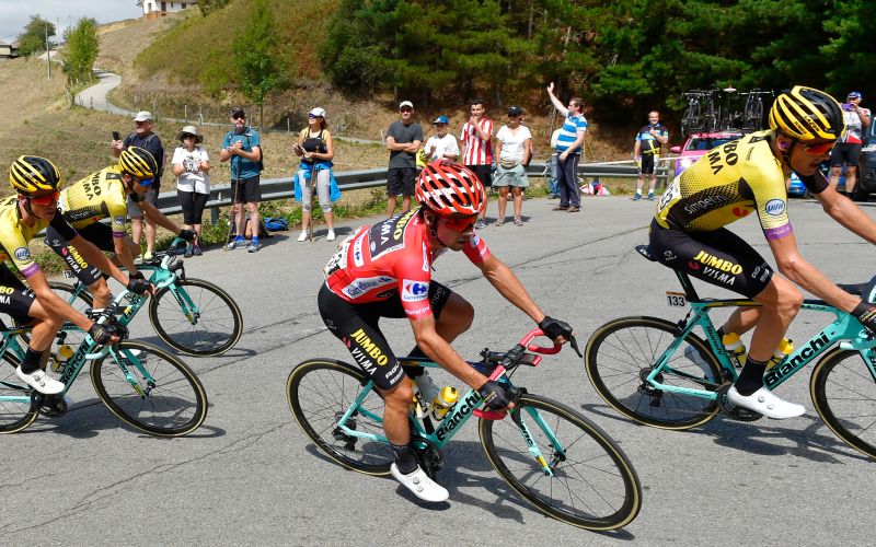 primoz roglic.jpg