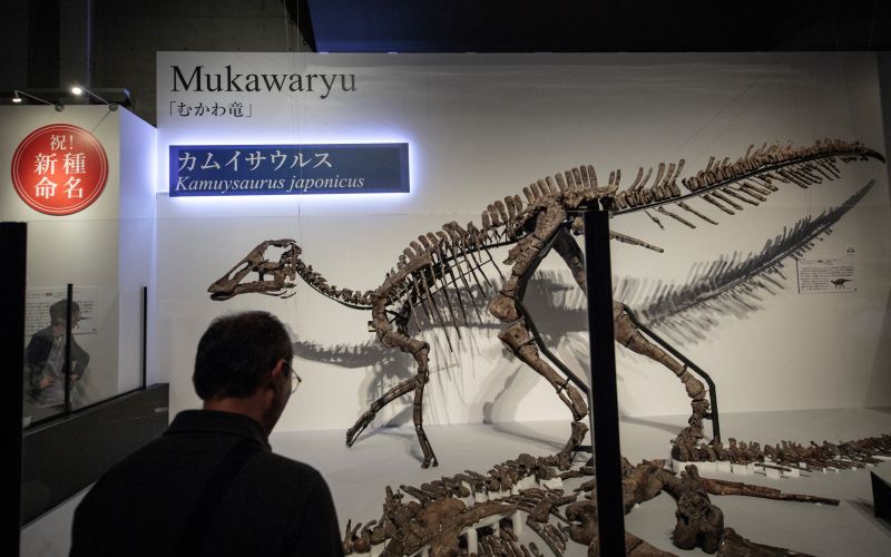 dinozaver.jpg