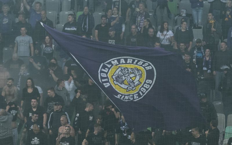 viole.jpg