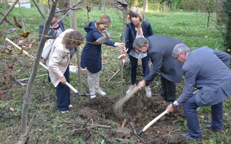 grajska_pot01.jpg