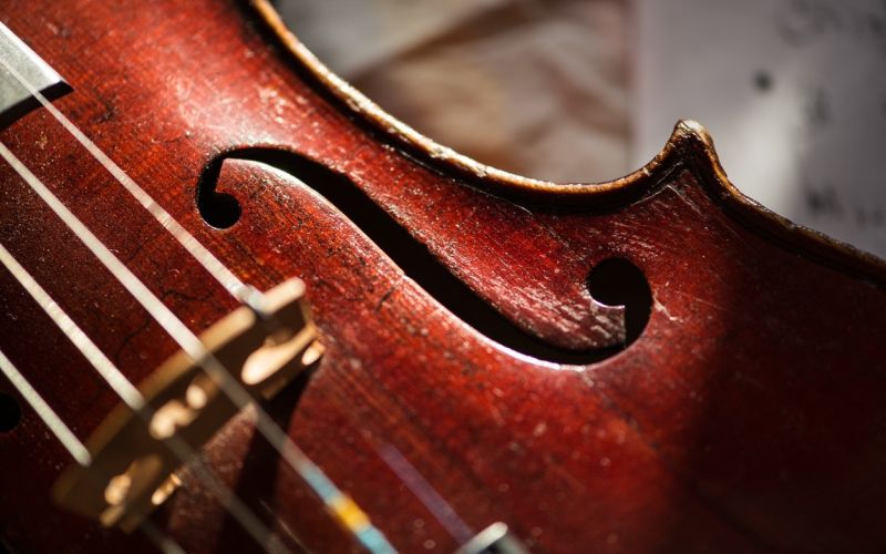 violina