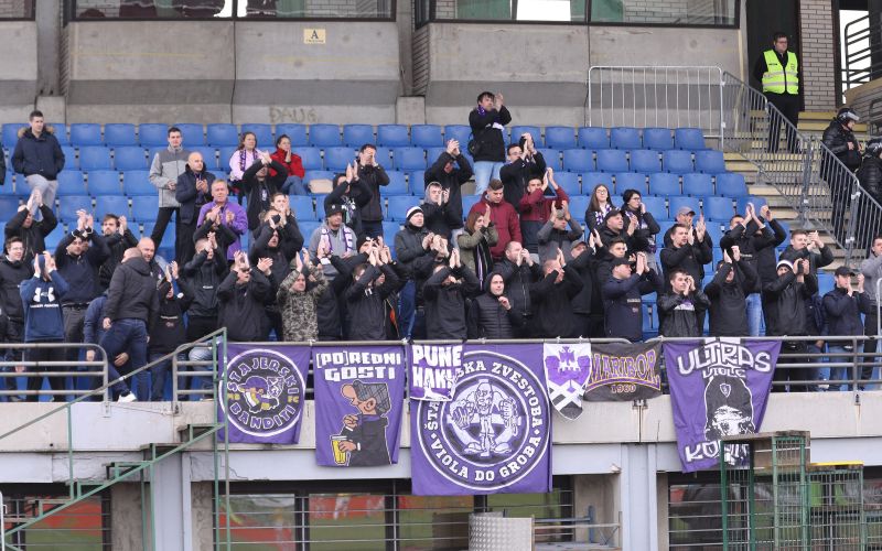 maribor viole.jpg