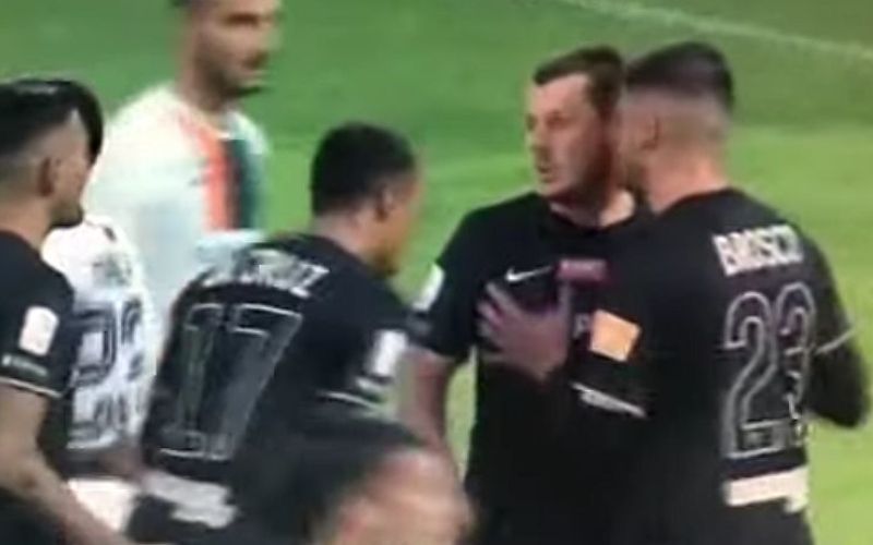 ninkovic vszi.jpg