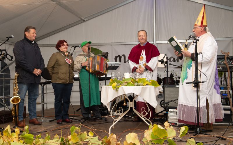 martinovanje, drevored-martina-lutra, osrednje-prekmursko-martinovanje