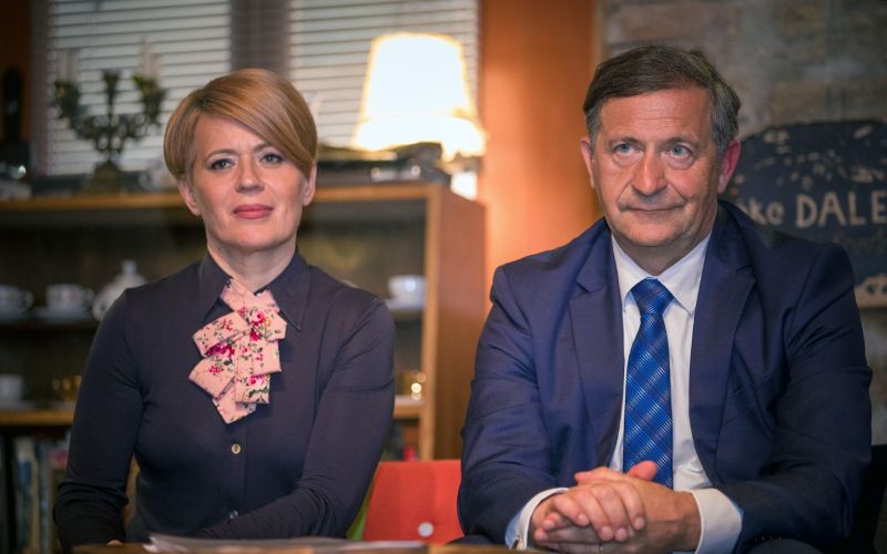pivec erjavec ms.jpg