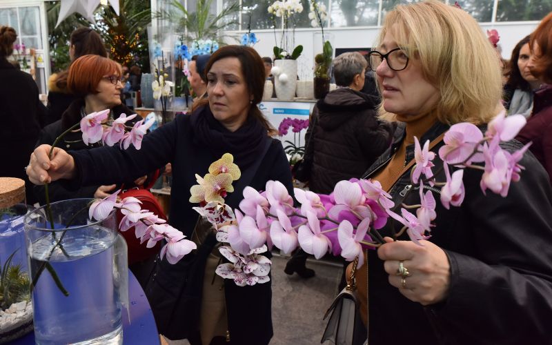 dobrovnik, dan-odprtih-vrat-ocean-orchids-tropski-vrt