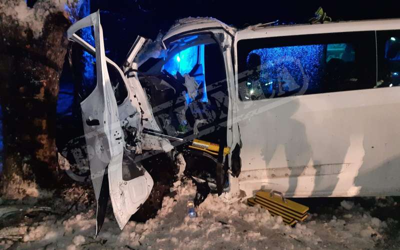 vinice, kombi, drevo, prometna nesreča