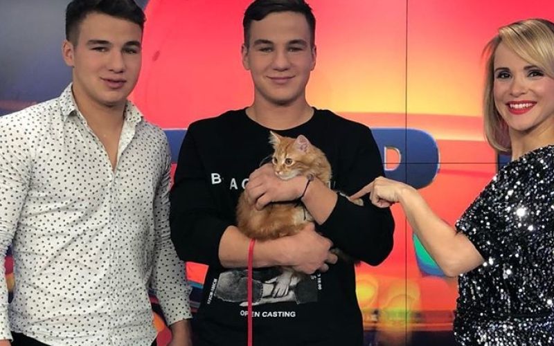 tom na pop tv.jpg