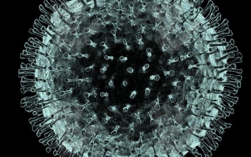 koronavirus.jpg