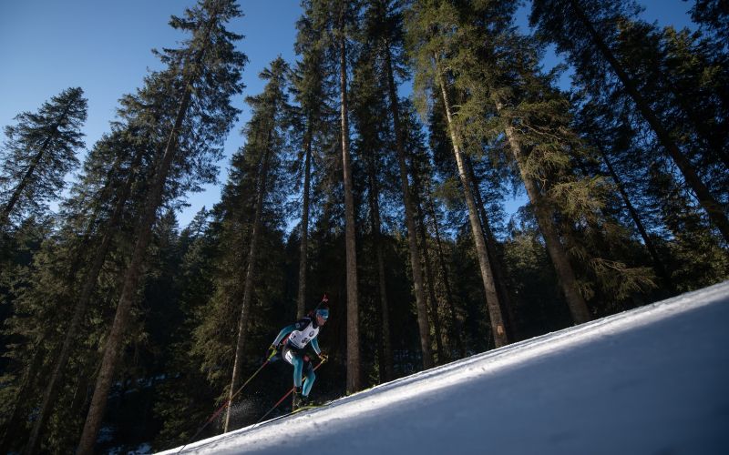pkljuka mm.jpg