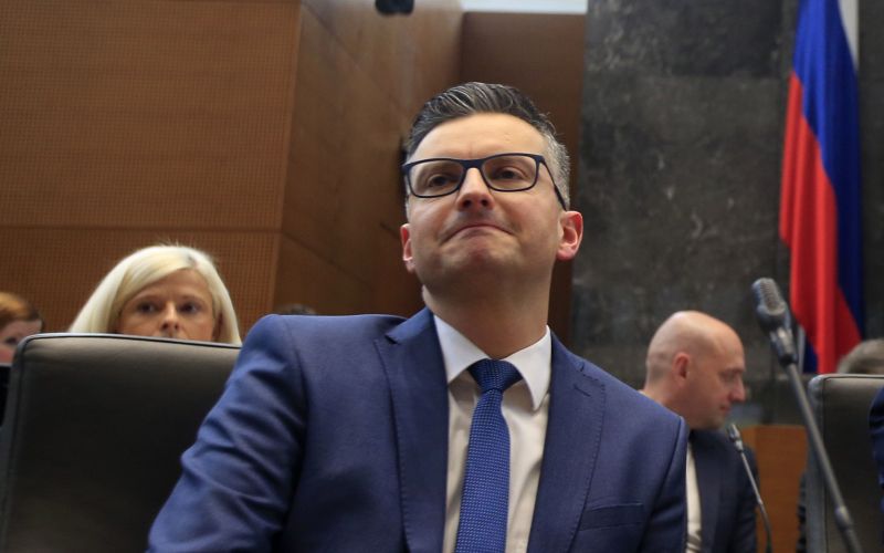 marjan sarec dz bobo2.JPG