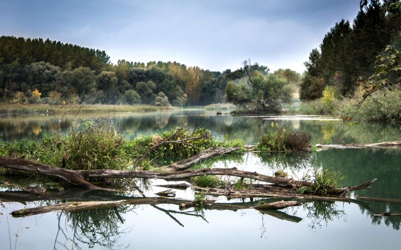 mokrišča, svetovni-dan-mokrišč