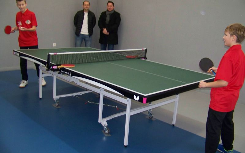 lipa, namizni-tenis, beltinci