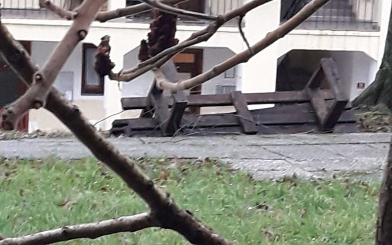 Senovo, veter