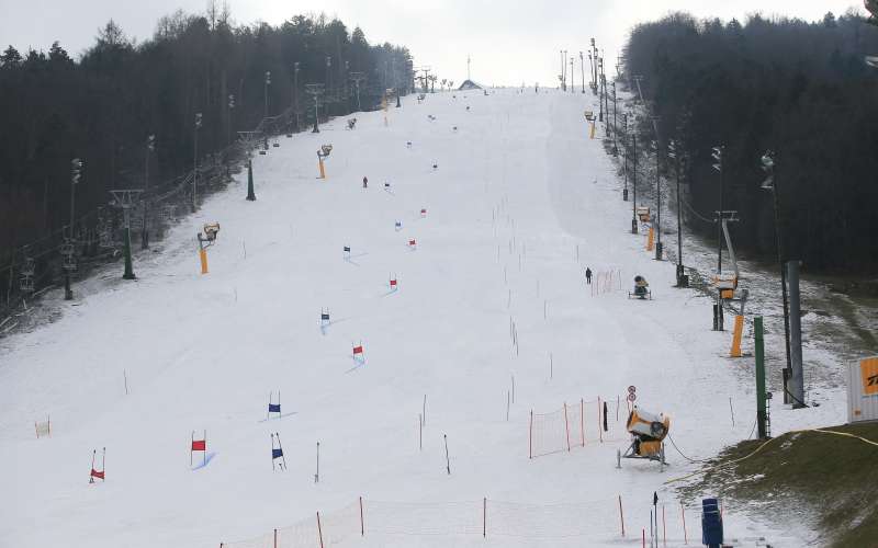 pohorje zlata lisica.jpg
