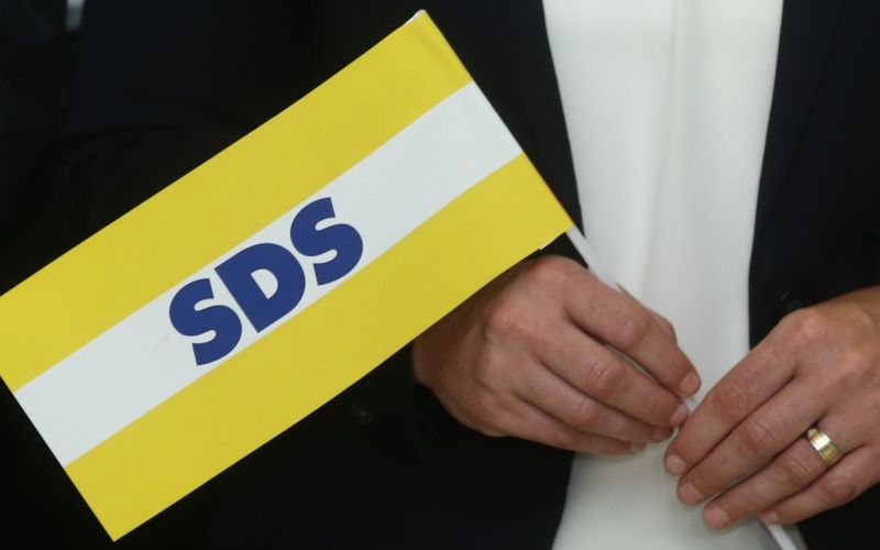 sds pl.jpg