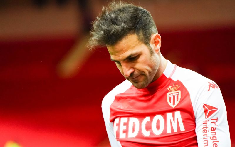 fabregas profi.jpg
