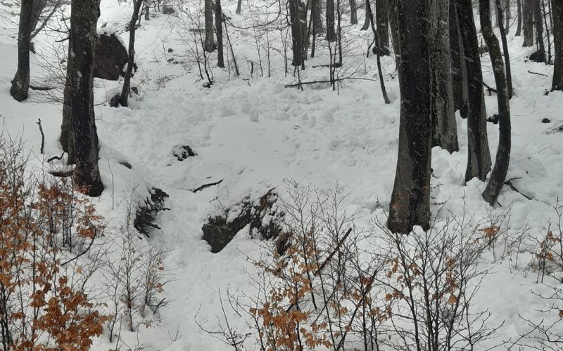 zelenica, snežni plaz, opozorilo