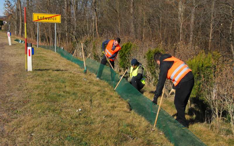 dvoživke, prenašanje-dvoživk, prostovoljci, zaščitne-mreže