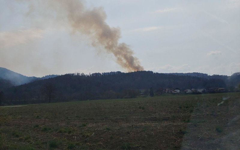 požar, dim, češnjica
