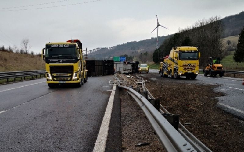 govedo, primorska avtocesta 27. 3. 2020