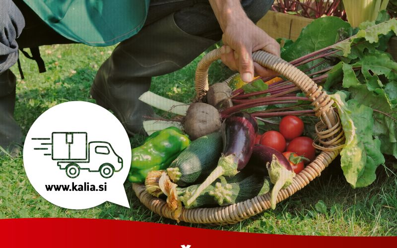 SAMOOSKRBA privedla do rekorda v spletni prodaji Semenarna Ljubljana 1.png
