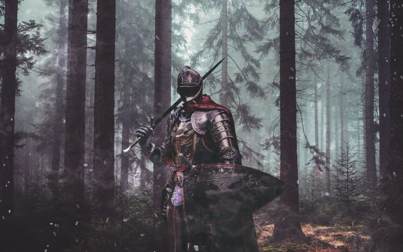 knight-4698269_1920.jpg