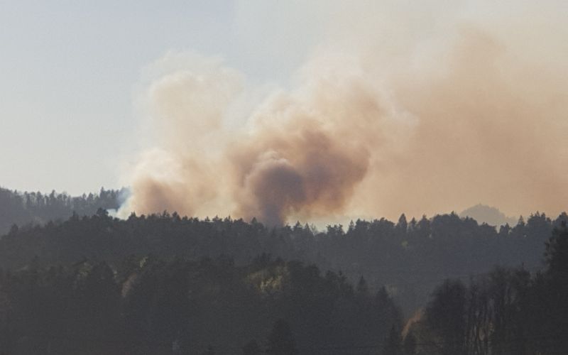 Požar na pobočju Šentviškega hriba